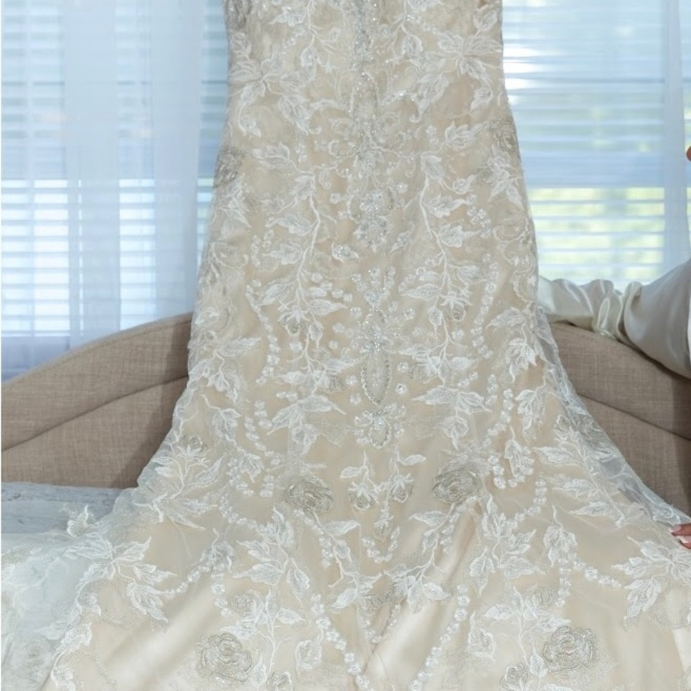 Happily Worn Once & Cleaned. Would Like Someone E… - image 1